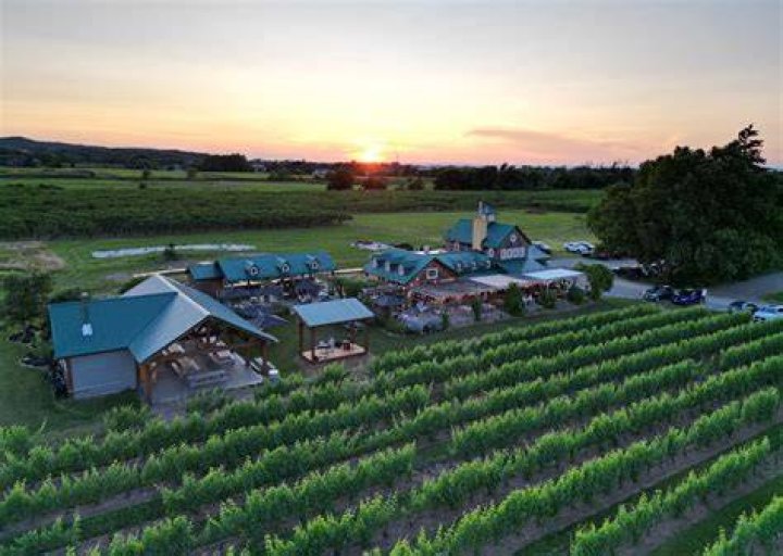 Is Silver Oak a good winery