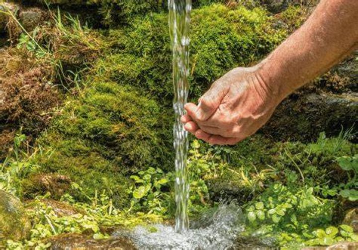 Is spring water bad for fish