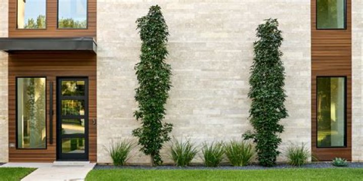 Is stone exterior expensive