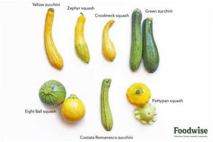 Is vegetable marrow a squash