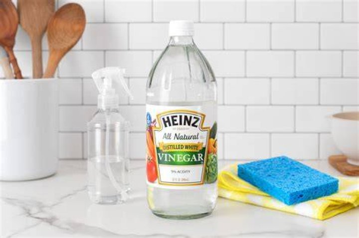Is vinegar good for cleaning