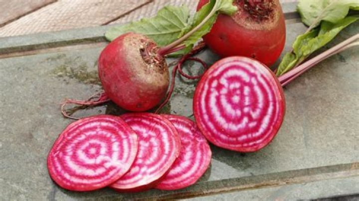 Should I start beets inside
