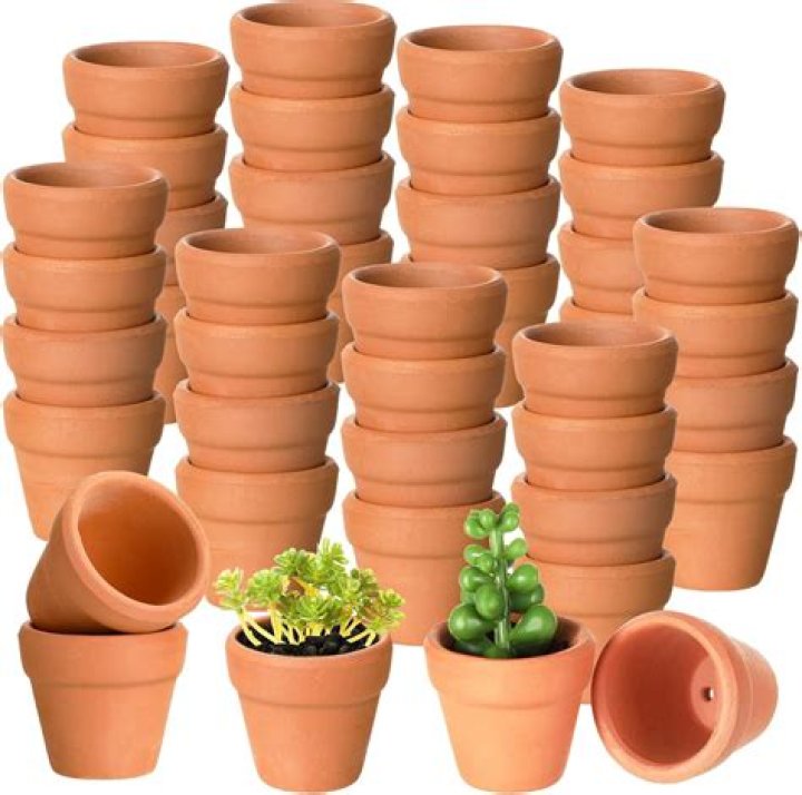 Should I use terracotta pots