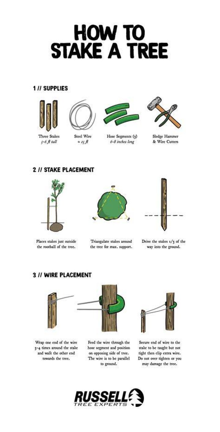 Should Nursery Stakes remove