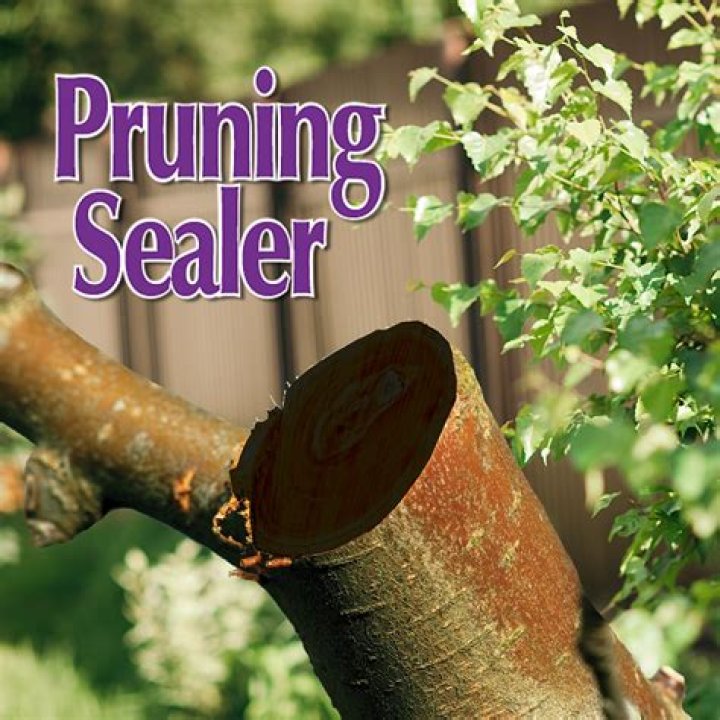Should you use pruning paint