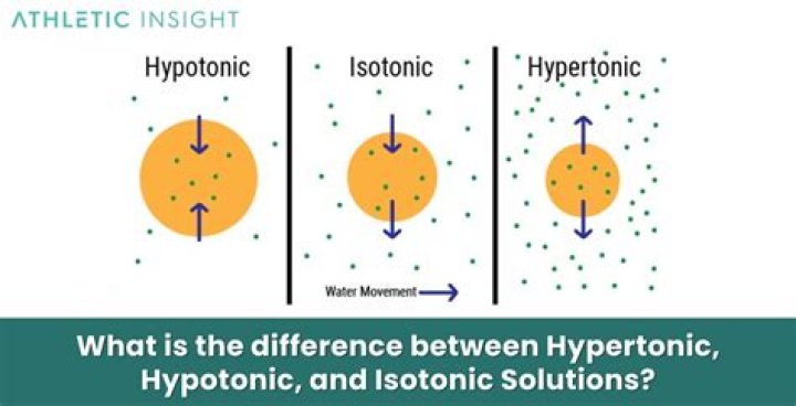 Was ist Hyperton und Hypoton