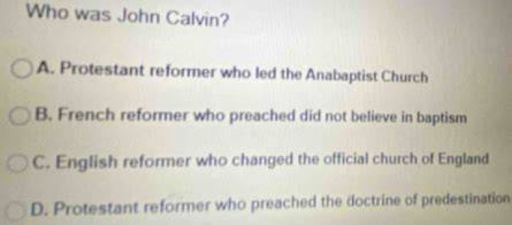 Was John Calvin a Protestant