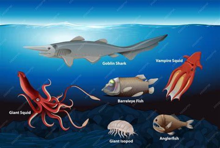 What are 15 marine creatures