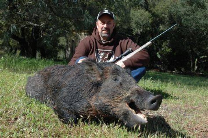 What are brush hogs good for