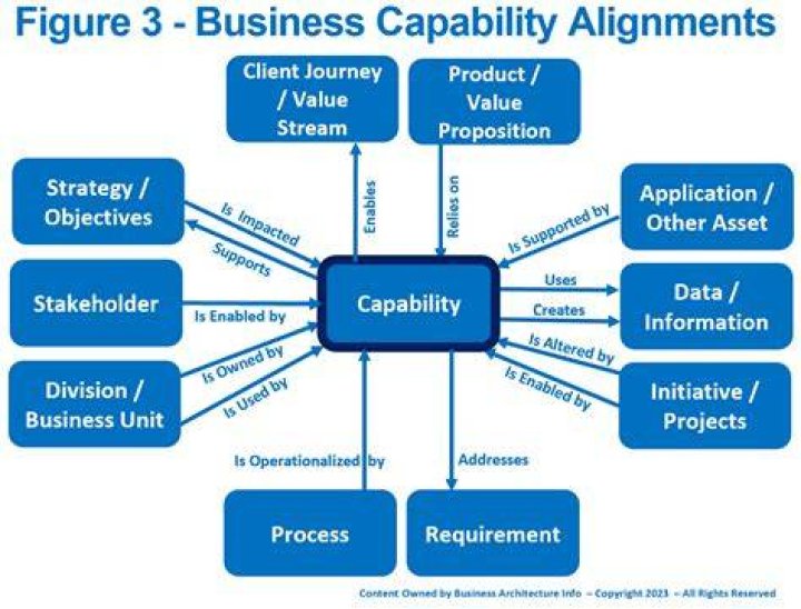 What are capability elements
