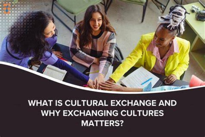 What are cultural exchanges