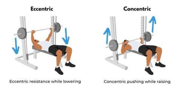 What are eccentric exercises