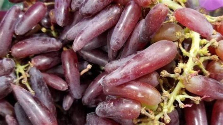 What are finger grapes