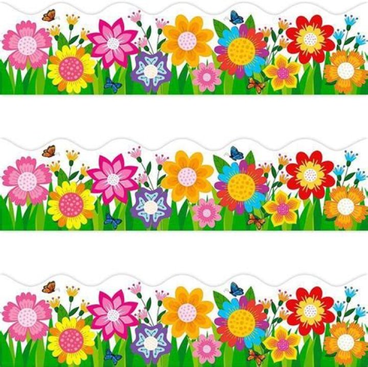 What are good border flowers