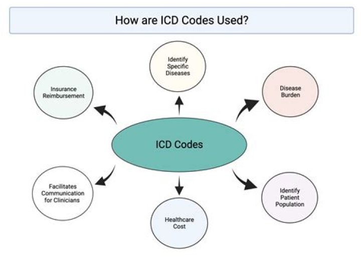 What are ICD codes used for
