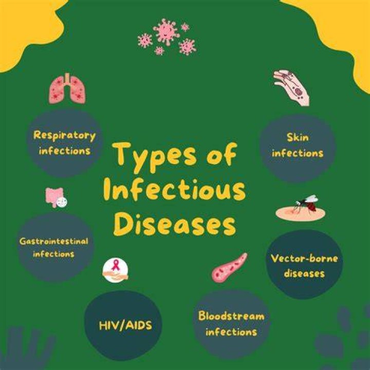 What are infectious diseases
