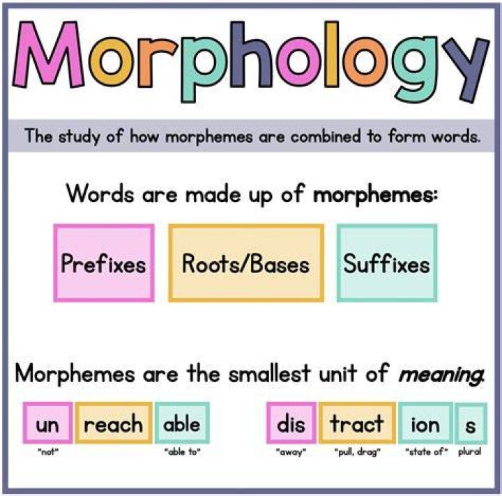 What are morphological skills