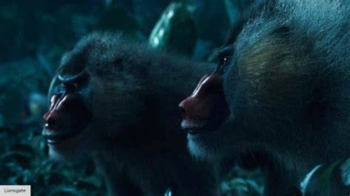 What are mutts in Mockingjay
