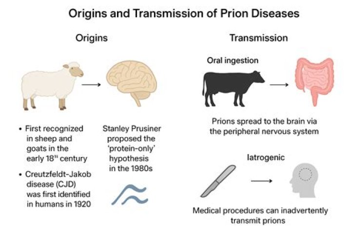 What are prions give example