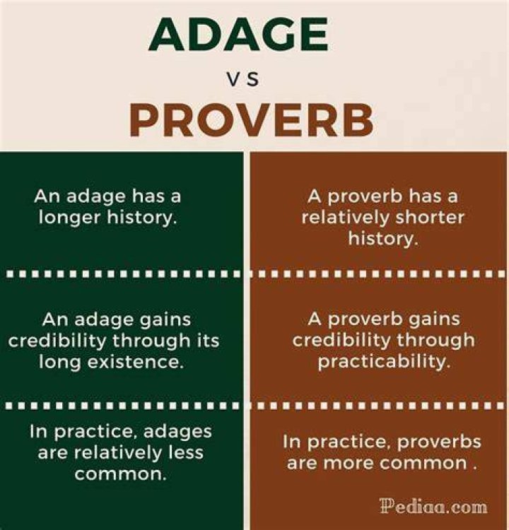 What are proverbs and adages