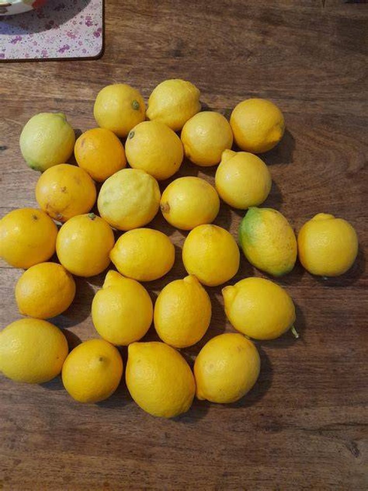 What are small lemons called