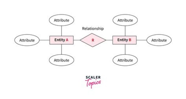 What are the 5 entity types
