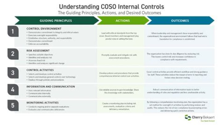 What are the COSO principles