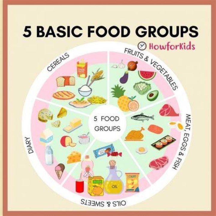 What are the five basic cuts