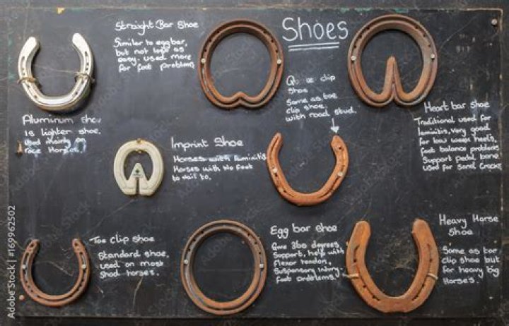 What are the horseshoe rules