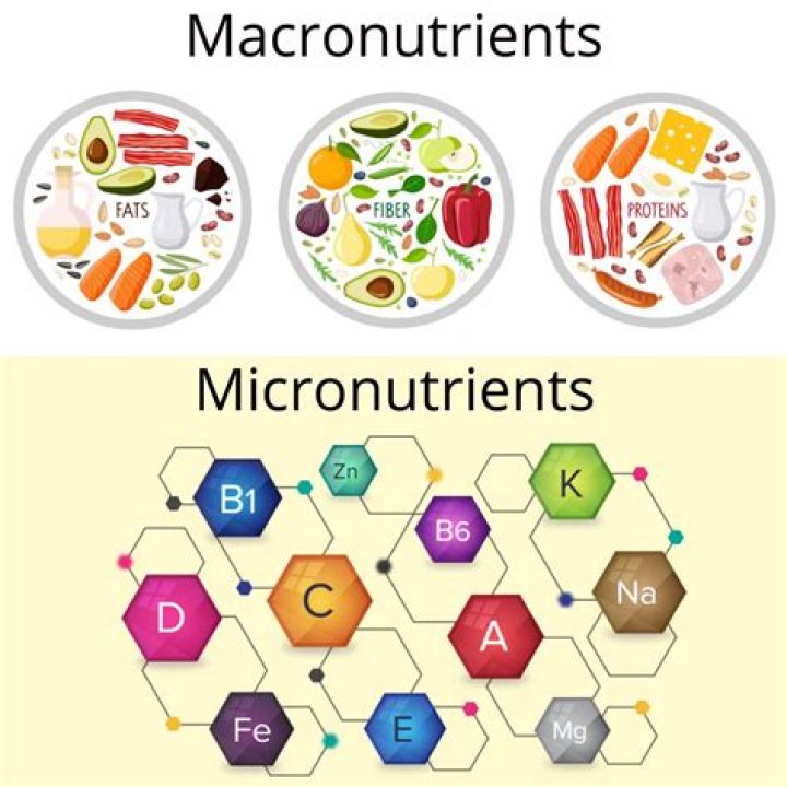 What are the macro elements