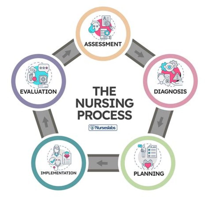 What are the nursing models