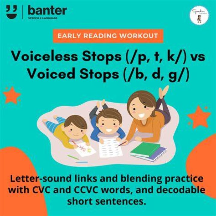 What are the voiceless stops