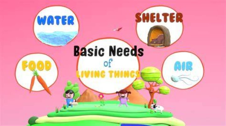 What are things that need energy
