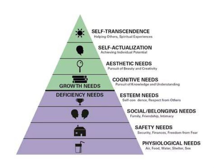 What are transcendent values