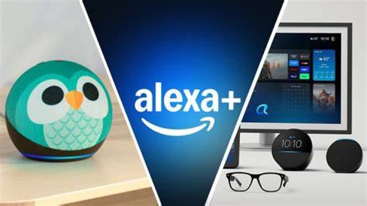 What can Alexa help you with