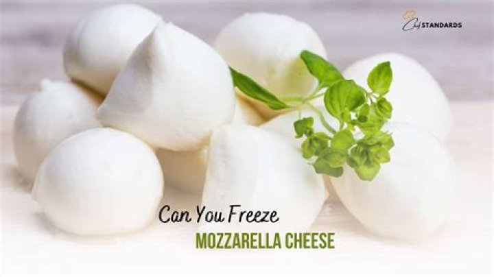 What can replace mozzarella