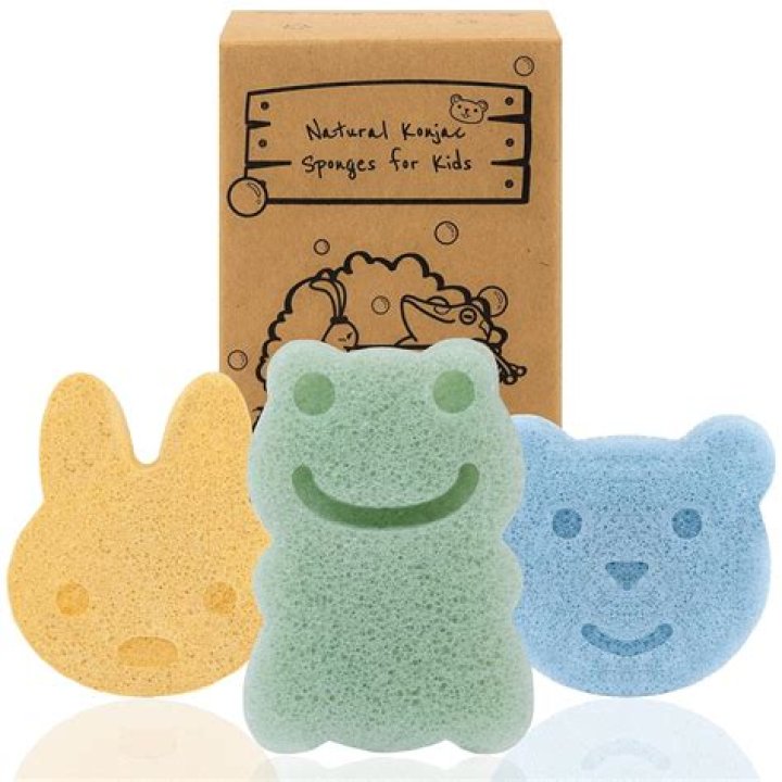 What can we make from sponge