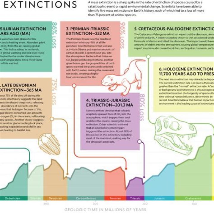 What caused mass extinctions