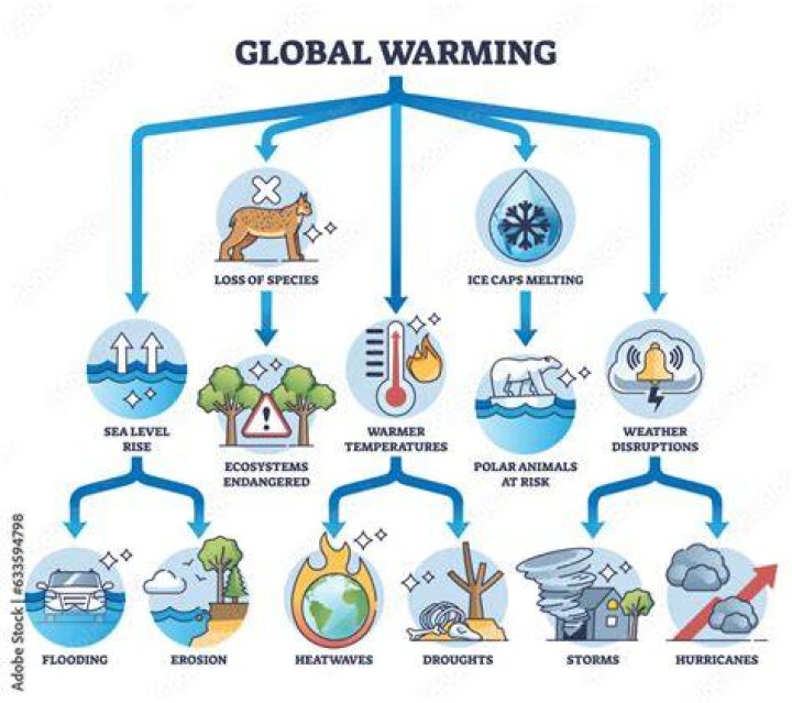 What caused medieval warming