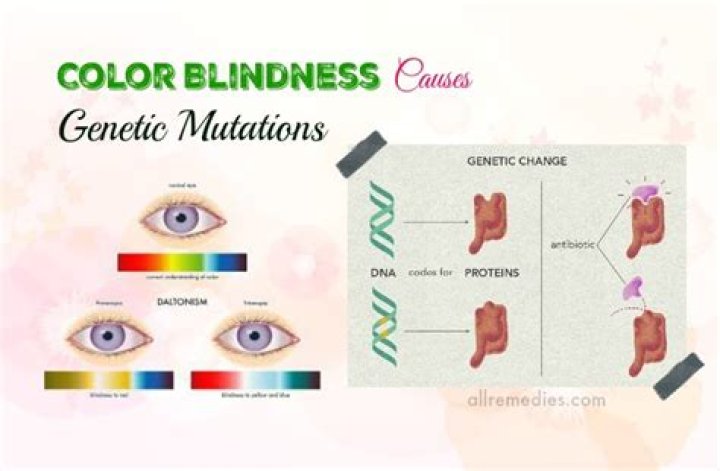 What causes colour blindness