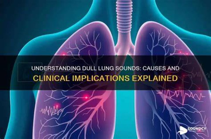 What causes dull lung sounds