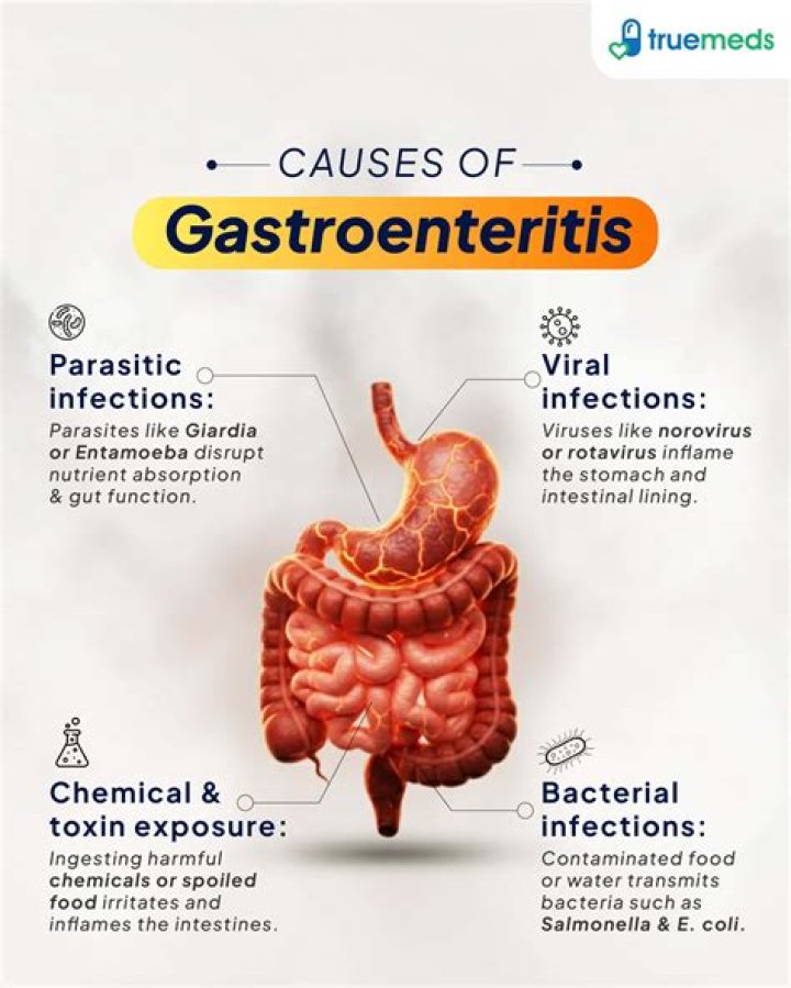 What causes rabbit enteritis