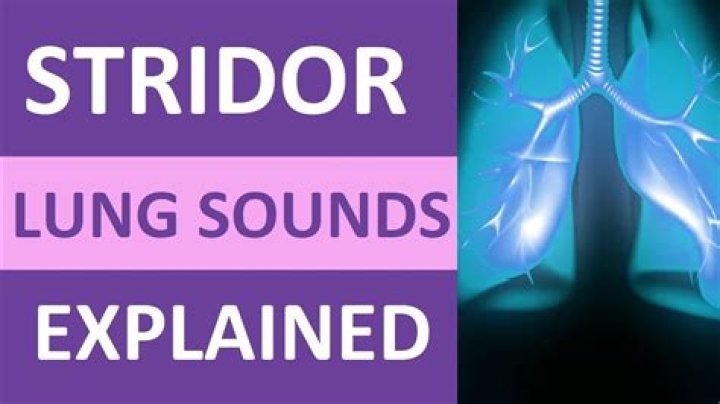 What causes stridor in lungs