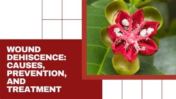 What causes wound dehiscence