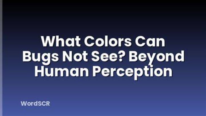 What colors can bugs not see