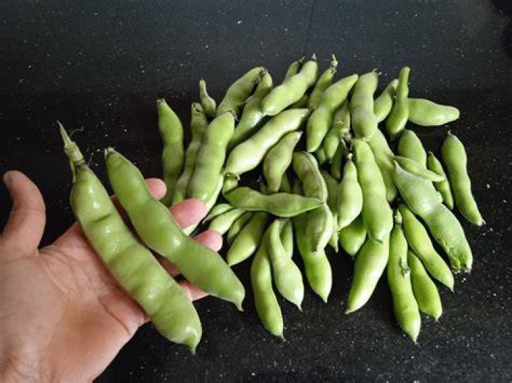 What colour is a broad bean