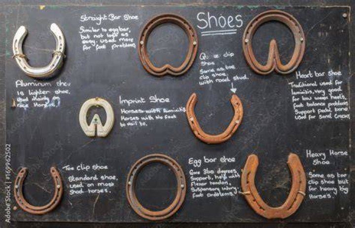 What do horseshoes symbolize