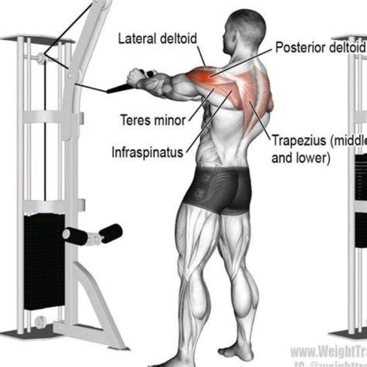 What do rope face pulls work