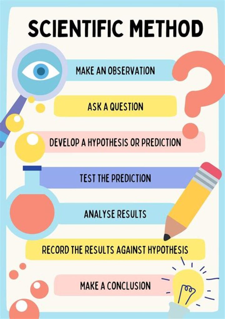 What do scientific divers do
