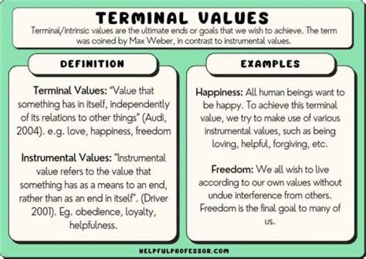 What do terminal values mean